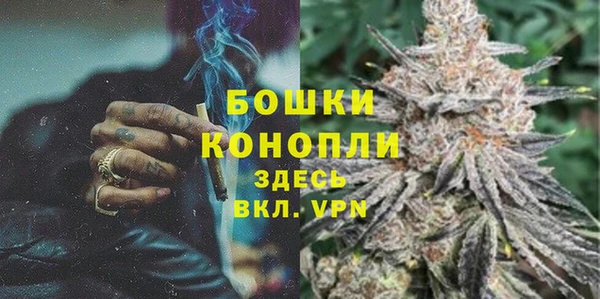 PSILOCYBIN Гусь-Хрустальный