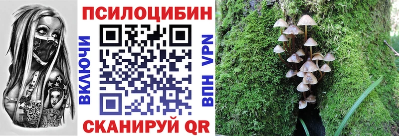 закладка  Касли  Галлюциногенные грибы Psilocybine cubensis 